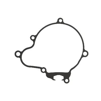 Zaptivka poklopca alternatora WINDEROSA W816692 IC-D789A0