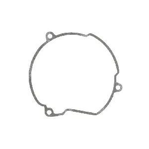 Zaptivka poklopca alternatora WINDEROSA W816704 IC-E1FE95