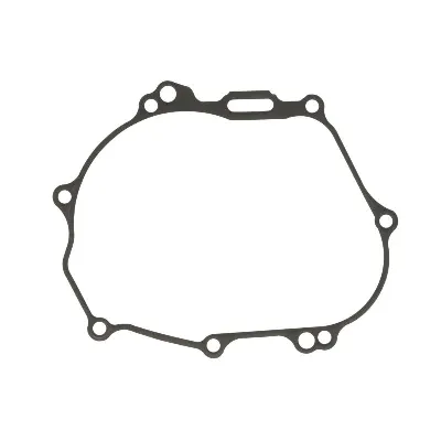 Zaptivka poklopca alternatora WINDEROSA W816710 IC-D789C3