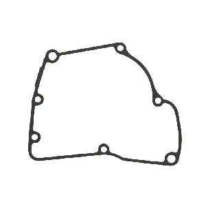 Zaptivka poklopca alternatora WINDEROSA W816721 IC-D789AE