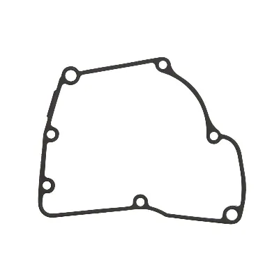 Zaptivka poklopca alternatora WINDEROSA W816721 IC-D789AE