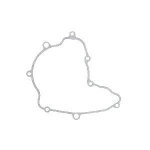 Zaptivka poklopca alternatora WINDEROSA W816748 IC-E1FE75