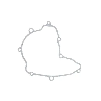 Zaptivka poklopca alternatora WINDEROSA W816748 IC-E1FE75