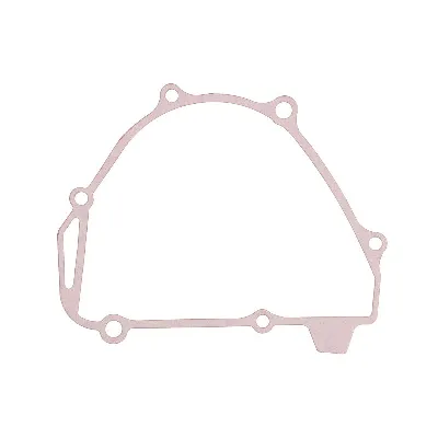 Zaptivka poklopca alternatora WINDEROSA W816749 IC-G0OIPJ