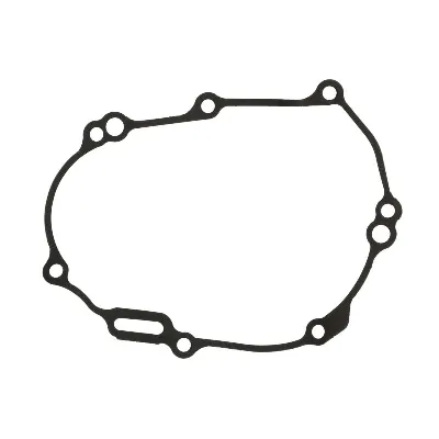 Zaptivka poklopca alternatora WINDEROSA W816758 IC-G0OIPL