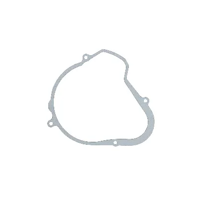 Zaptivka poklopca alternatora WINDEROSA W817015 IC-E1FE76