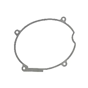 Zaptivka poklopca alternatora WINDEROSA W817266 IC-D78982