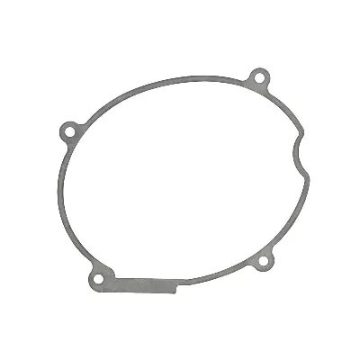 Zaptivka poklopca alternatora WINDEROSA W817266 IC-D78982