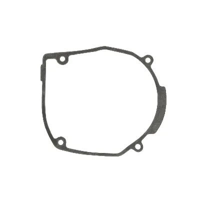 Zaptivka poklopca alternatora WINDEROSA W817274 IC-E1FE7B