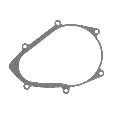 Zaptivka poklopca alternatora WINDEROSA W817405 IC-E1FE7D