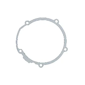 Zaptivka poklopca alternatora WINDEROSA W817473 IC-E1FE81