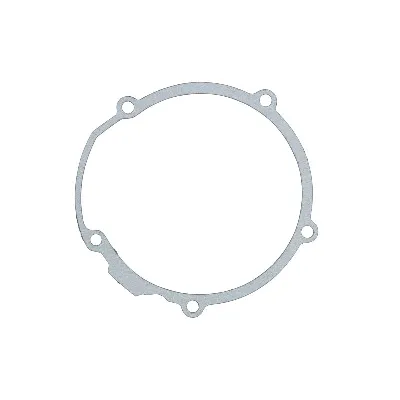 Zaptivka poklopca alternatora WINDEROSA W817473 IC-E1FE81