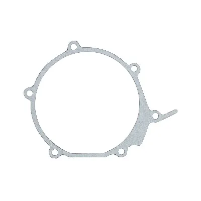 Zaptivka poklopca alternatora WINDEROSA W817485 IC-D78985