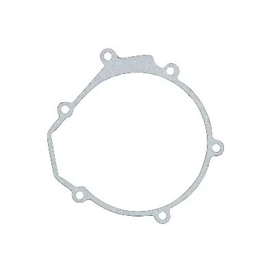 Zaptivka poklopca alternatora WINDEROSA W817488 IC-D78987