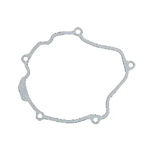 Zaptivka poklopca alternatora WINDEROSA W817494 IC-E1FE84