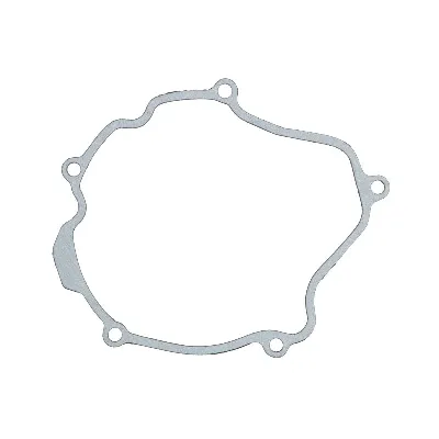 Zaptivka poklopca alternatora WINDEROSA W817494 IC-E1FE84