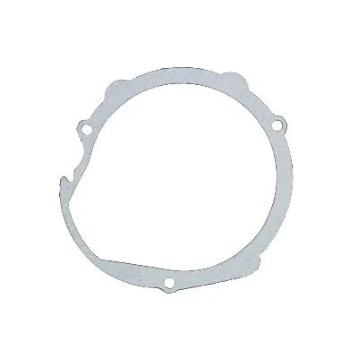 Zaptivka poklopca alternatora WINDEROSA W817522 IC-D789AA