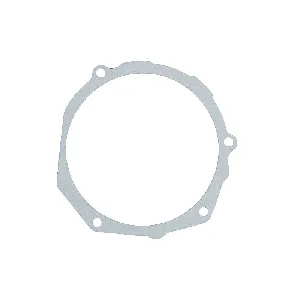 Zaptivka poklopca alternatora WINDEROSA W817528 IC-E1FE87