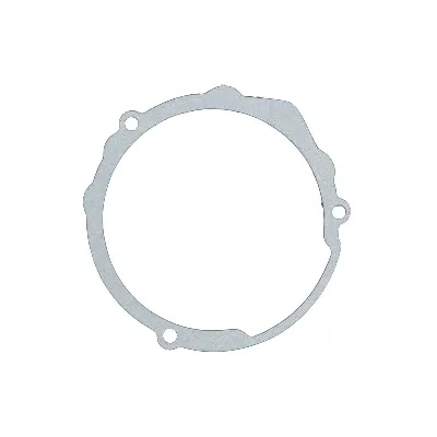 Zaptivka poklopca alternatora WINDEROSA W817587 IC-E1FE89