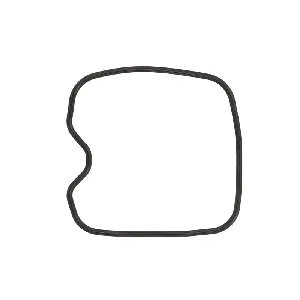 Zaptivka poklopca alternatora WINDEROSA W817865 IC-D789C4