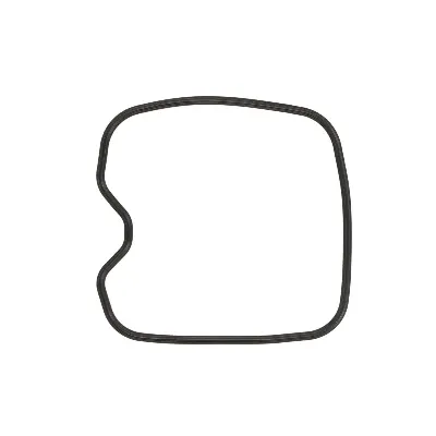 Zaptivka poklopca alternatora WINDEROSA W817865 IC-D789C4