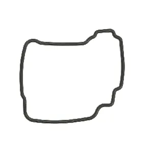 Zaptivka poklopca alternatora WINDEROSA W817867 IC-D789C5