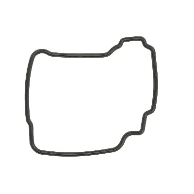 Zaptivka poklopca alternatora WINDEROSA W817867 IC-D789C5