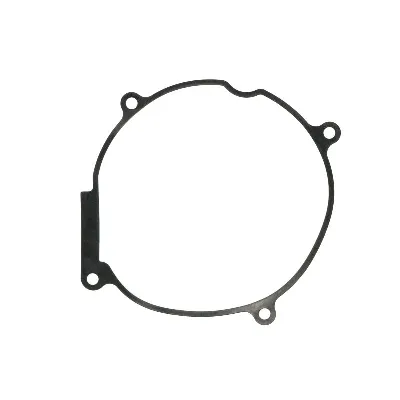 Zaptivka poklopca alternatora WINDEROSA W817946 IC-E20363