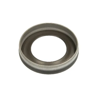 Zaptivka, pumpa za gorivo BOSCH 1 460 C85 001 IC-BBF666