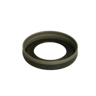 Zaptivka, pumpa za gorivo BOSCH F 00N 203 538 IC-C16276