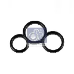 Zaptivka, pumpa za gorivo DT KLIMA 1.10944 IC-G04JQ2