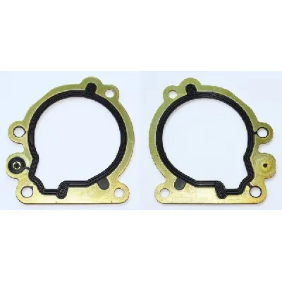 Zaptivka, pumpa za gorivo ELRING EL246460 IC-G0917Q