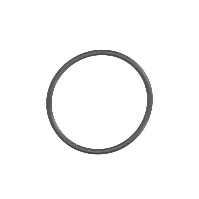 Zaptivka, pumpa za gorivo ENGITECH ENT030017 IC-G04W1N