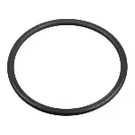 Zaptivka, pumpa za gorivo FEBI FE172666 IC-G0PWWM