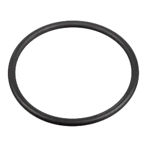 Zaptivka, pumpa za gorivo FEBI FE172666 IC-G0PWWM