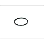 Zaptivka, pumpa za gorivo HANS PRIES HP100 576 IC-323569