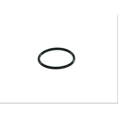 Zaptivka, pumpa za gorivo HANS PRIES HP100 576 IC-323569