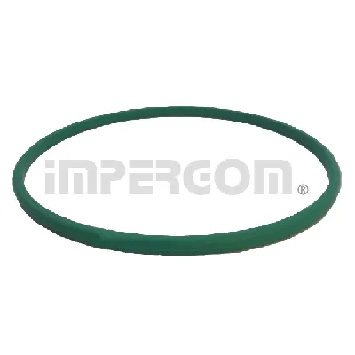 Zaptivka, pumpa za gorivo IMPERGOM IMP25645 IC-F569A5