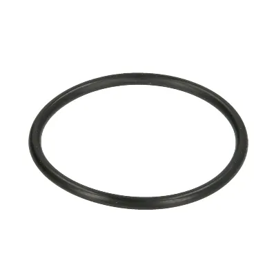 Zaptivka, pumpa za gorivo LEMA LE103145 IC-B473D7