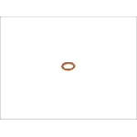 Zaptivka, pumpa za ubrizgavanje HANS PRIES HP101 468 IC-325433