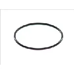 Zaptivka, razvodnik paljenja HANS PRIES HP202 027 IC-263230