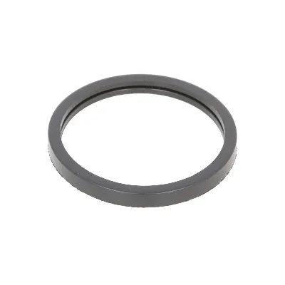Zaptivka, termostat AJUSA AJU00522800 IC-DAE423