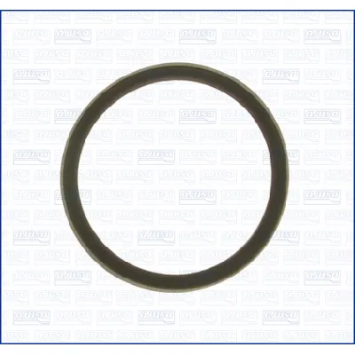 Zaptivka, termostat AJUSA AJU00975700 IC-E4BDEB