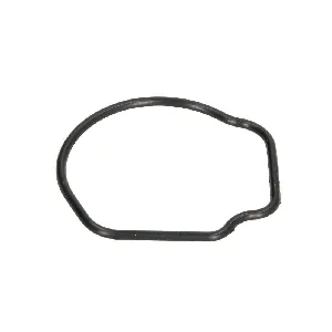 Zaptivka, termostat AJUSA AJU01096800 IC-G06JH2