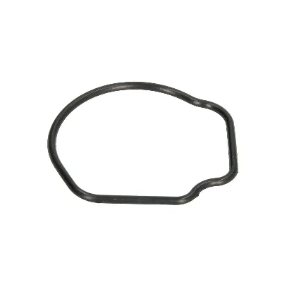 Zaptivka, termostat AJUSA AJU01096800 IC-G06JH2