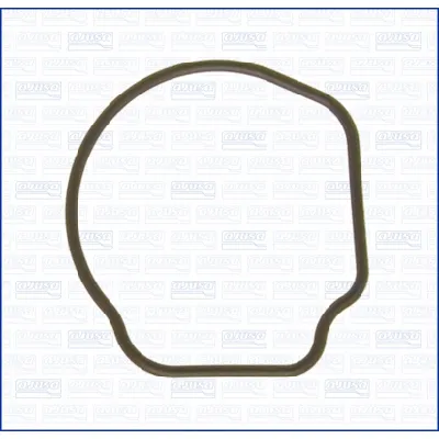 Zaptivka, termostat AJUSA AJU01096800 IC-G06JH2