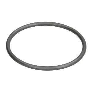 Zaptivka, termostat ELRING EL002240 IC-A89557