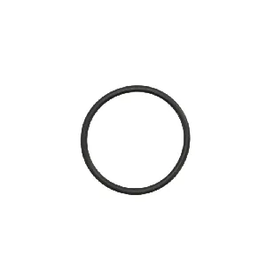 Zaptivka, termostat ELRING EL007920 IC-D73D84