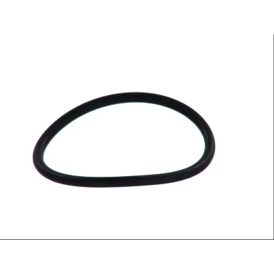 Zaptivka, termostat ELRING EL088872 IC-9A886C
