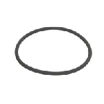 Zaptivka, termostat ELRING EL290860 IC-F8CC1F